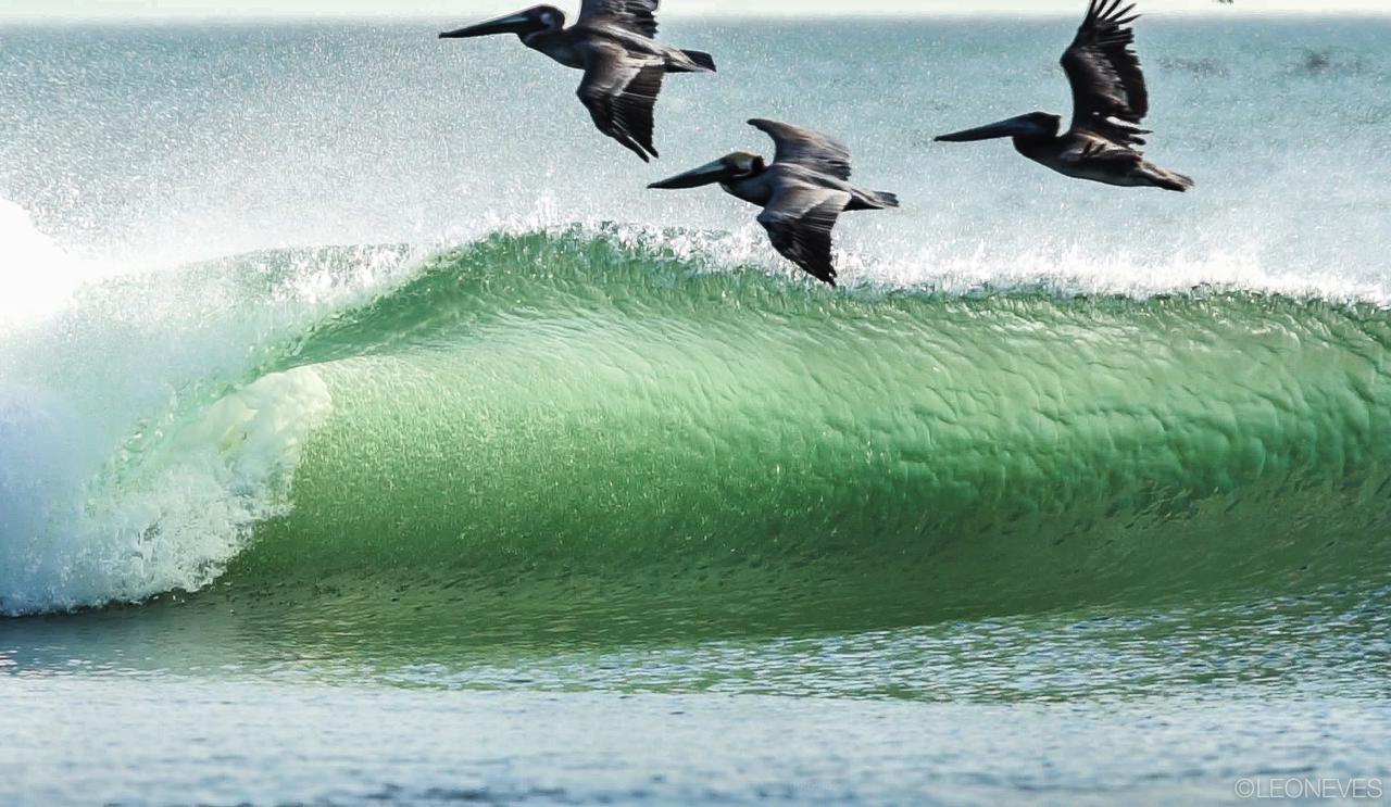 Lodge Miramar Surfcamp *